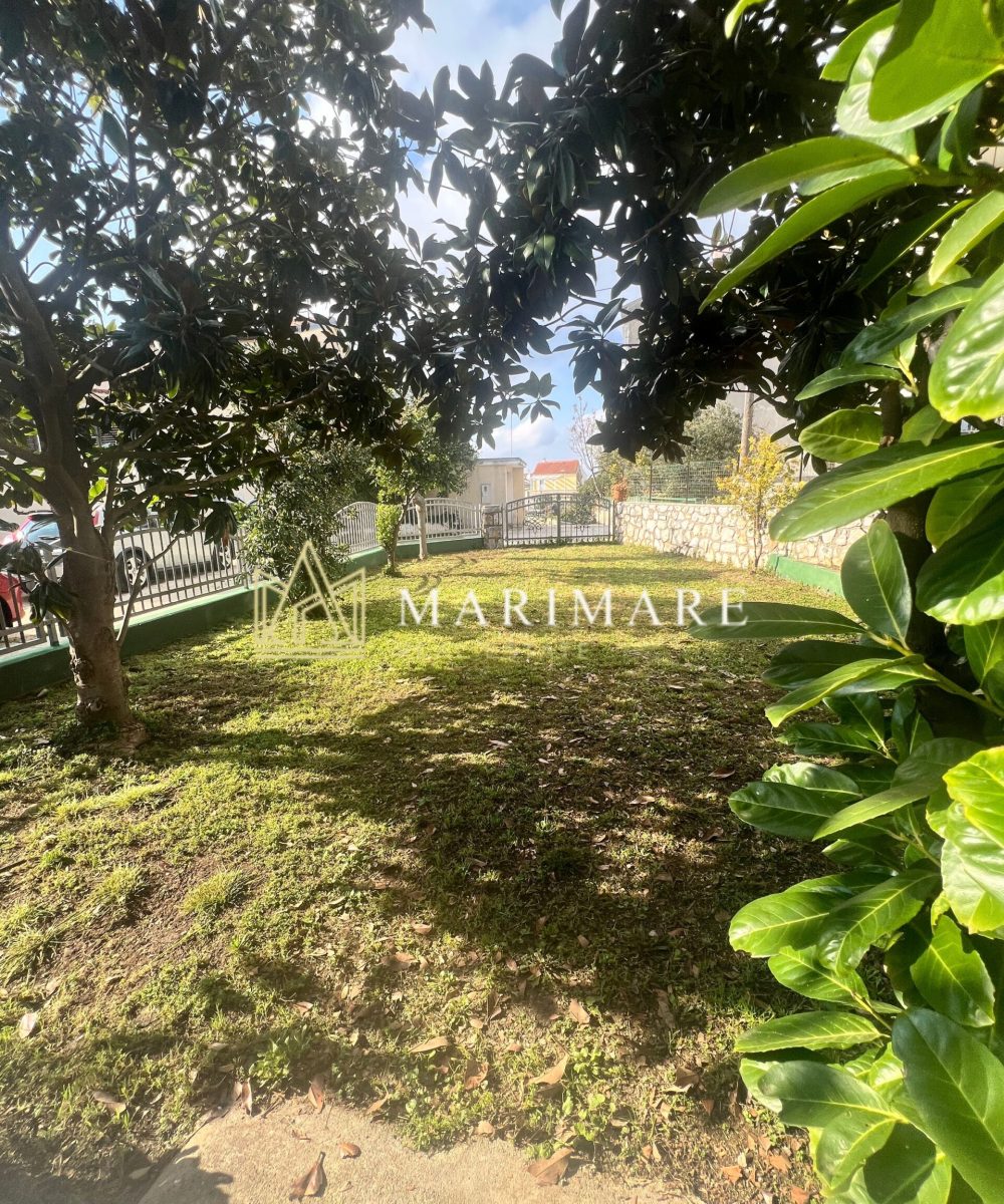 Untitled design (75)